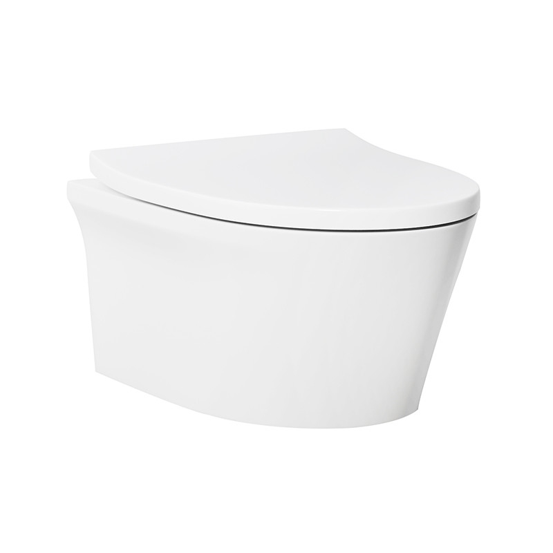 ARROW AB2175H Wall Hung Toilet , Sanitary Wash Down Type Water Closet